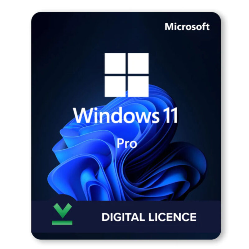 Windows 11 Professional - Image 2